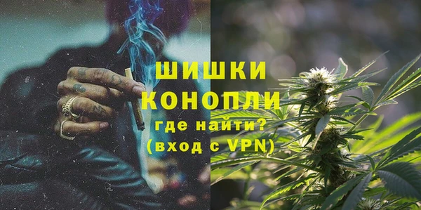 индика Навашино