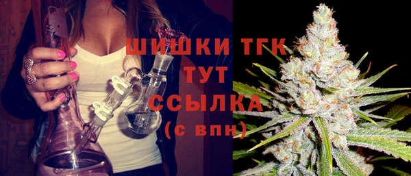 индика Навашино
