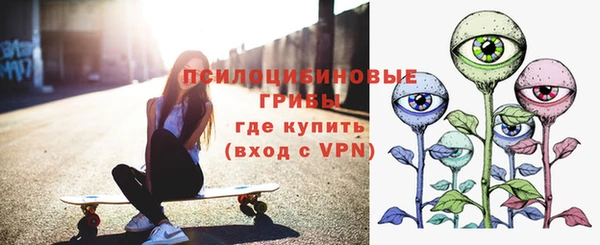 индика Навашино