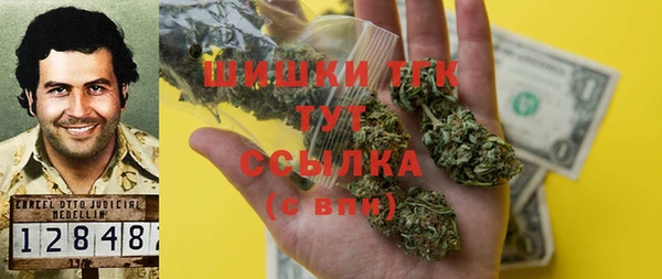 индика Навашино