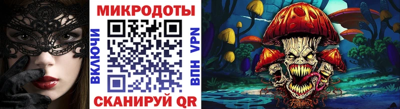 Купить  Прокопьевск  Псилоцибиновые грибы Psilocybe 