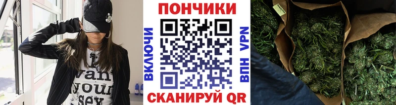 Купить где Прокопьевск Конопля ГИДРОПОН